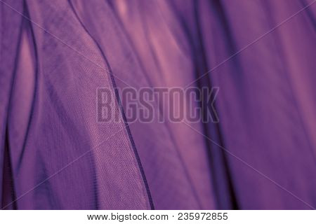 Ultraviolet Fatine. Trendy Color Abstract Background. Selective Focus, Defocus