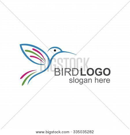 Humming Bird Logo, Flying Bird Icon And Logo