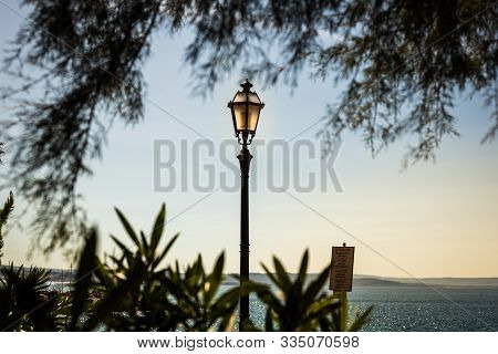 Sun Rays Shining Through A Tree At The Coast Of The Mediterranean Sea At The Promenade Near The Mira