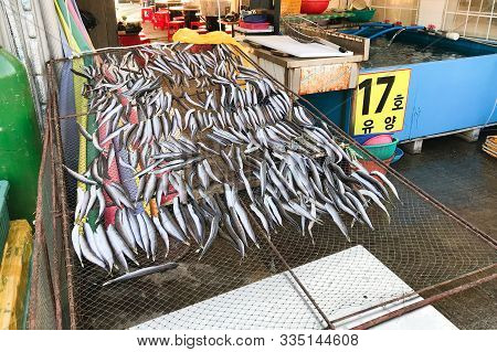 Sokcho, South Korea - October 28, 2019: Many Fish Dry On Grid Outdoors Near Local Restaurant In Sokc