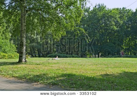 Parco della città In estate e una ragazza