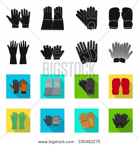 Vector Design Of Glove And Winter Sign. Set Of Glove And Equipment Vector Icon For Stock.
