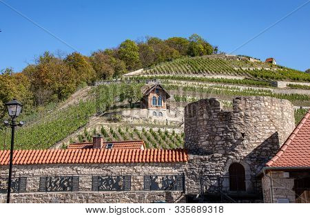 Saxony Anhalt, View Of Vineyards With Grapevines In Autumn In Freyburg / Unstrut