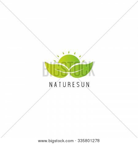 Sun And Leaf Logo Vector Design Concept