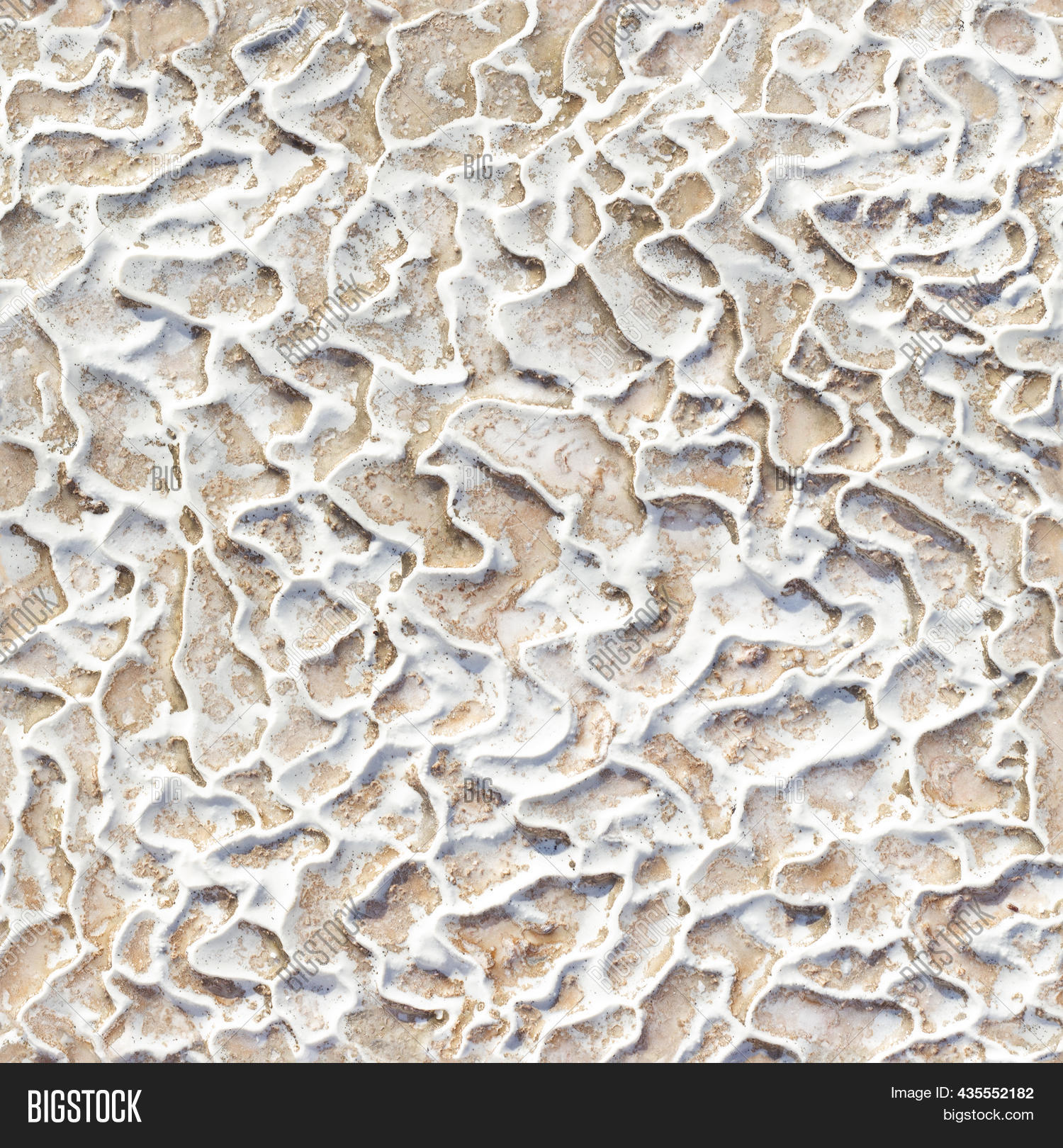 Seamless Texture Image & Photo (Free Trial) | Bigstock
