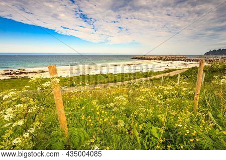 Seascape, Sea Coast With Sandy Beach Breakwater And Meadow Flowers In Resort Bleik Andoya Norway. Ve