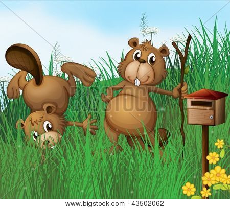 Illustration av två bäver bredvid en trä postlåda