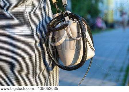 A Wild Venomous Snake Crawled Unnoticed Into Woman's Purse.