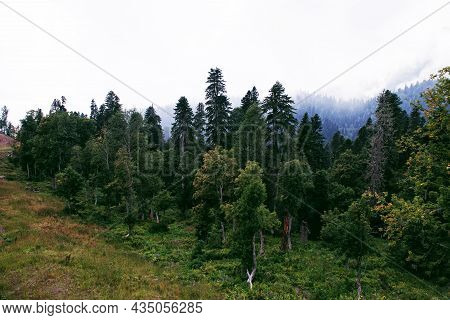 View Of The Forest From The Mountain. Fog. The Caucasus Mountains. Sochi District, Russia