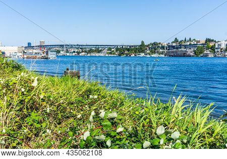 View Of Buildings Along Lake Union. Shot Taken From Gasworks Park In Seattle, Washington.