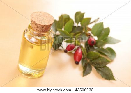 olio di Rosa Mosqueta