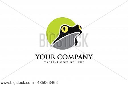 Frog Art And Logo Design Inspiration For Your Business