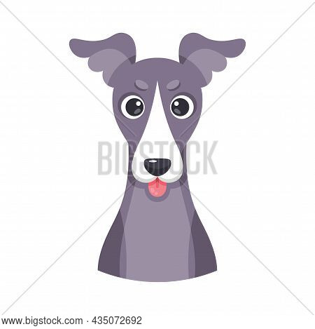 Isolated Cute Avatar Of A Whippet Dog Breed Vector Illustration
