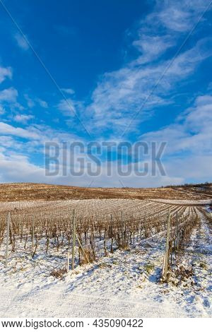 Winter landscape near Popice, Southern Moravia, Czech Republic