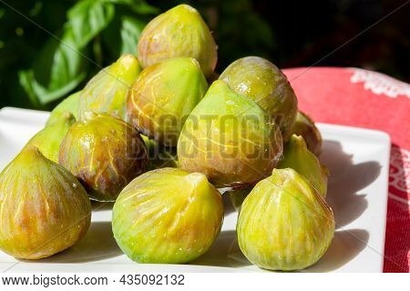 New Harvest Of Fresh Ripe Sweet Fig Fruits