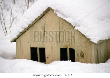 Besneeuwde huis