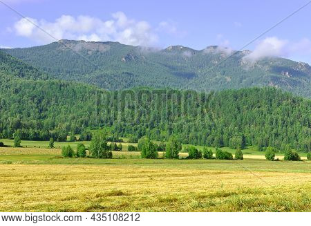 Mowing On A Plain At The Foot Of Green Mountains Under A Blue Sky. Siberia, Russia