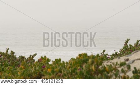 Misty Beach, Encinitas California Usa. Pacific Ocean Coast, Dense Fog Brume On Sea Shore. Coastline 