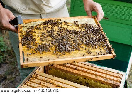 Partial View Of Bee Master With Scraper Holding Blurred Honeycomb Frame Near Beehive