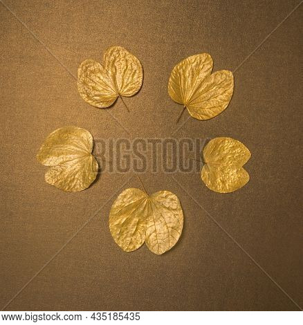 Dussehara greeting card cover with clear space for message.  Golden Apta leaves - a symbolic âgoldâ, arranged in a circular shape with empty space for logo or text.