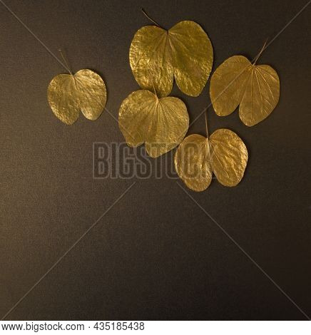 Metallic golden Apta leaves called âsonpattaâ which is offered to each other on the occasion of Dussehara celebration. Beautiful gold leaves on dark background for Dussehra festive background.