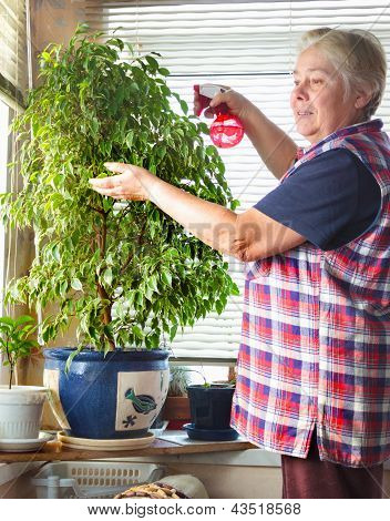 Reife Hausfrau kÃ¼mmert sich der Blumen