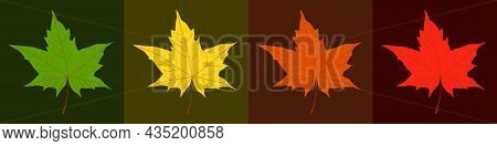 Autumnal Season Trendy Color Palette. Yellow, Orange, Red, Brown And Green Maple Leaves Background. 