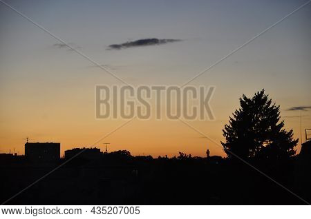 City Landscape With Dark Houses And Big Spruce Against A Sunset Sky