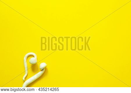 Dried Psilocybin Mushrooms On A Yellow Background, Variety Psilocybe Cubensis Rasta White. Cultivati