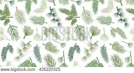 Winter Pine And Spruce Vector Seamless Pattern, Evergreen Plant, Tree And Fir Branch, Cedar Twig Bac