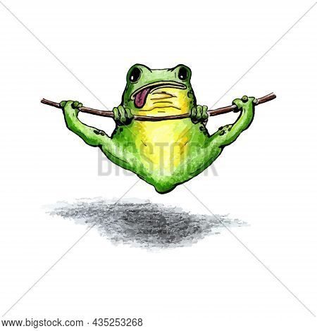 The Frog Is Hanging On A Stick
