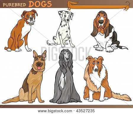 Raszuivere honden Cartoon afbeelding Set