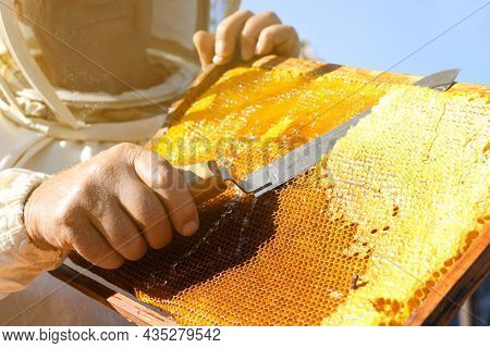 Senior Beekeeper Uncapping Honeycomb Frame With Knife Outdoors, Closeup