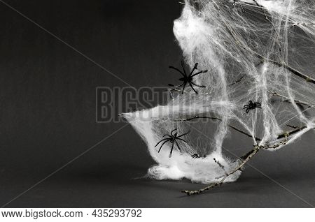 Halloween Decorations White Spider Web And Black Spiders On A Tree Branch On A Black Background. Hal