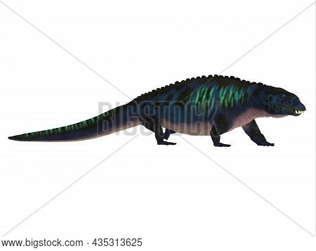 Placodus Reptile Walking 3d Illustration - Placodus Was A Carnivorous Marine Reptile That Lived Duri
