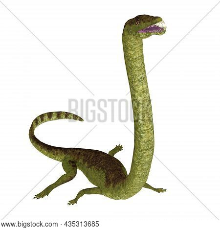 Tanystropheus Reptile Over White 3d Illustration - Tanystropheus Was A Carnivorous Semi-aquatic Mari