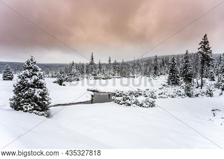 Winter In Jizera Mountains. Snowy Landscape With Trees And Small Creek. Czech Republic