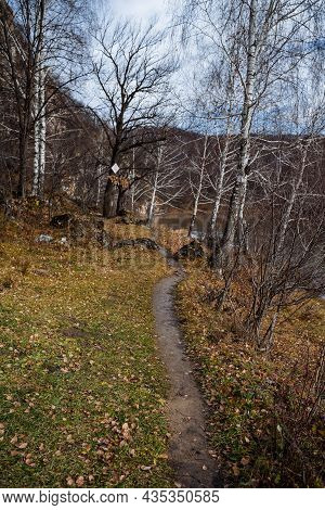 A Narrow Path In A Birch Forest On A Hill. The Time Of Year Is Late Autumn, The Sun Is Hidden Behind