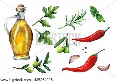Set Of Herbs, Spices - Olive Oil, Garlic, Rosemary, Basil, Parsley, Hot Peppers. Watercolor Illustra