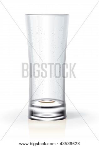 The Glass