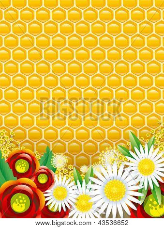 Honey combs background
