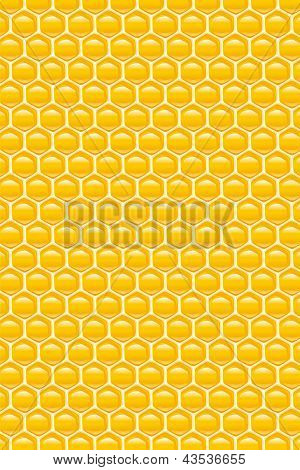 Honey combs background