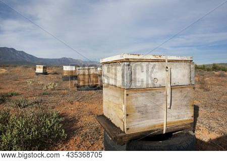 Beehives being used for pollination of vegetables and fruit crops in the Nuy VAlley in the Breede River area of the Western Cape, South Africa.