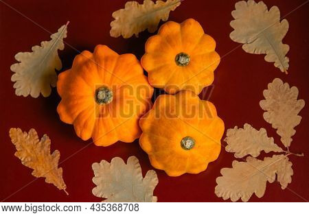 Squash Lying On A Brown Background. Pumpkin Orange Pattison Lies On A Burgundy Table With Dry Oak Le