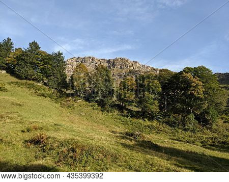 Autumn Mood On A Rural Alp In The Canton Of St.gallen. Hike To The Mountain Speer Above Amden. Nice 