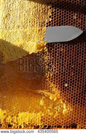 Uncapping Honey Cells With Knife, Closeup View