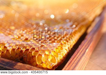 Closeup View Of Uncapped Filled Honeycomb Frame