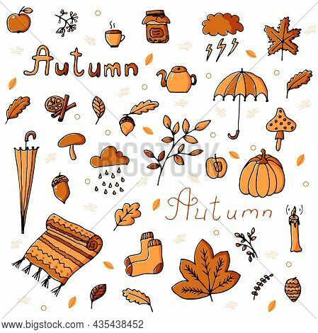 Autumn Set In Orange And Brown Tones With Various Fall Items. Can Be Used For Backgrounds, Wallpaper