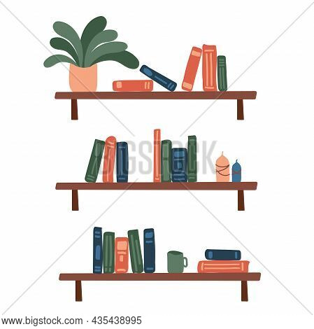 Bookshelves With A Potted Plant And Candles.