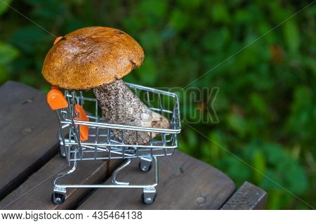 Autumn Cep Mushrooms With Brown Cap.